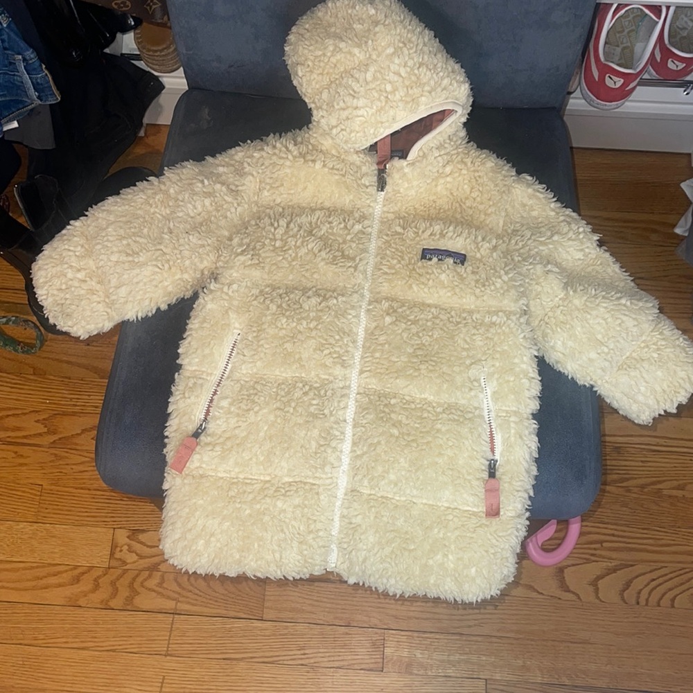 Patagonia Recycled Fleece Hooded Down Parka